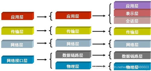 Python中的異常處理與套接字編程實戰 信息處理與存儲支持服務